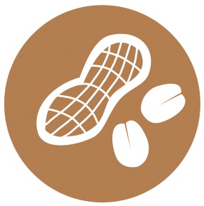 Bento – Fira Barcelona - CN