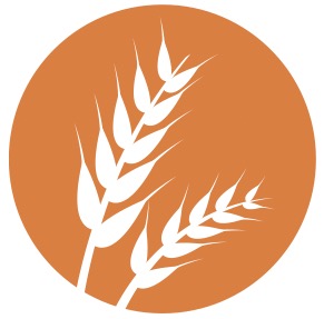 Bento – Fira Barcelona - CN