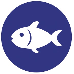 Bento – Fira Barcelona - CN