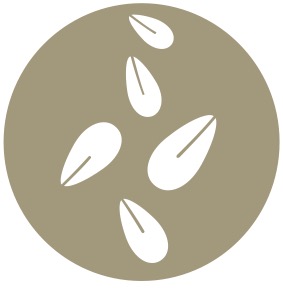 Bento – Fira Barcelona - CN